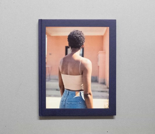 Romanzo Meticcio, di Davide Degano, pubblicato da Artphilein Editions