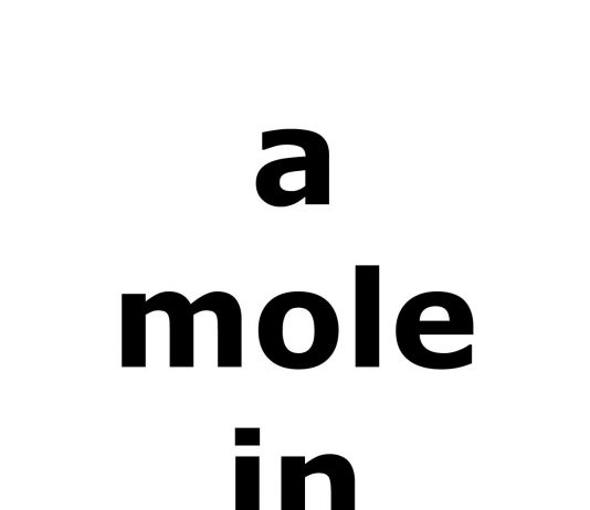 Michele Savino – A Mole in Chives