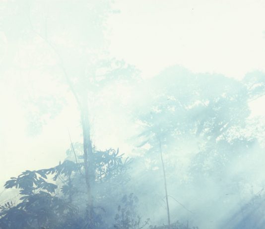 Non è una somma di fatti, ma un modo di vita