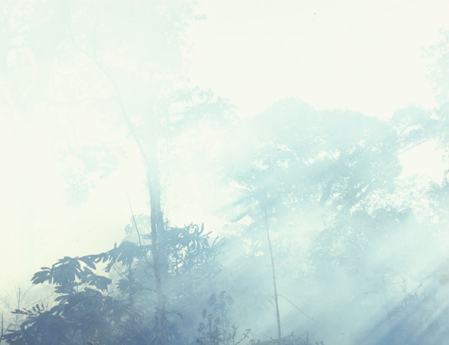 Non è una somma di fatti, ma un modo di vitahttps://www.exibart.com/repository/media/formidable/11/img/ef5/Immagine-newsletter.jpg