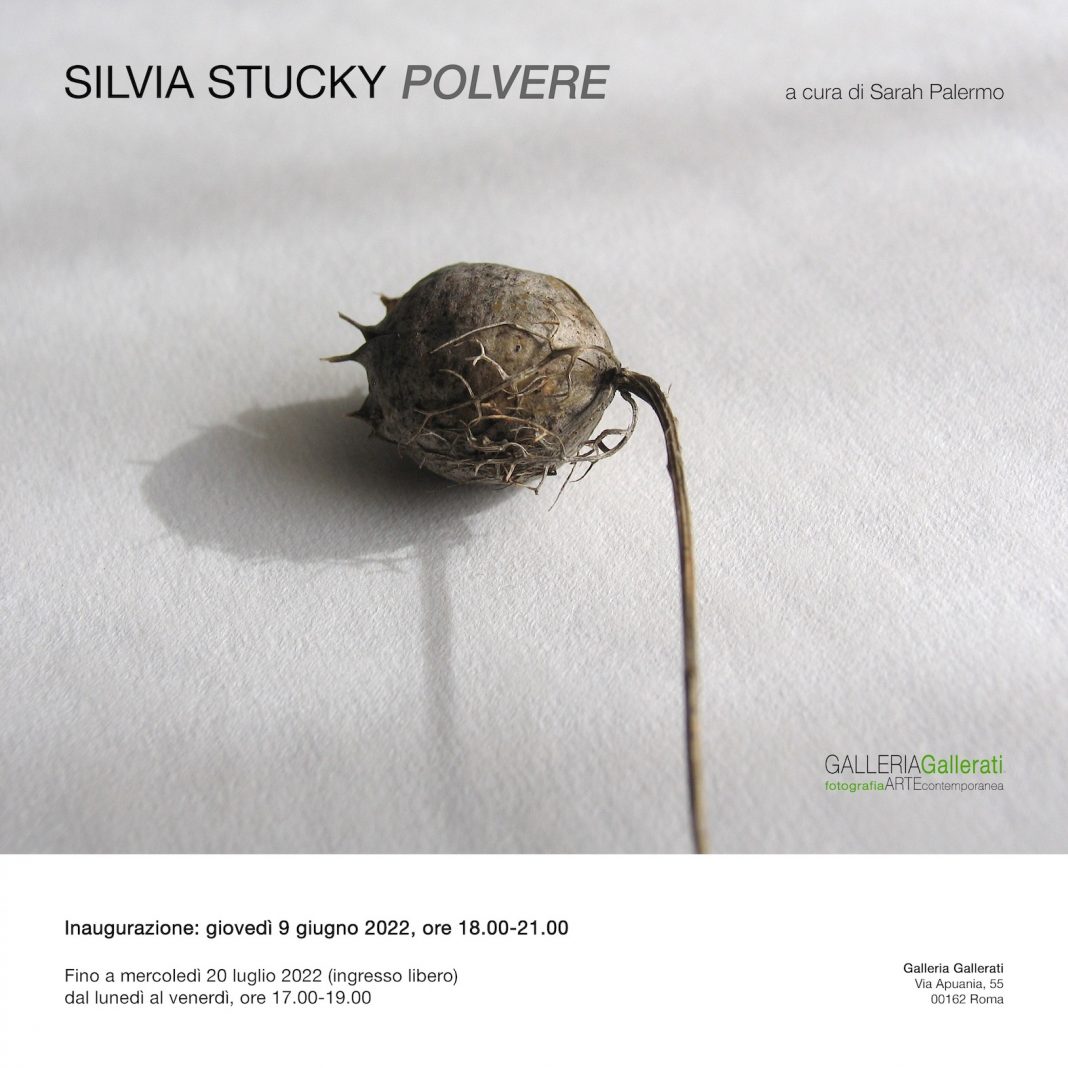 Silvia Stucky – Polverehttps://www.exibart.com/repository/media/formidable/11/img/efb/S.STUCKY_Polvere_INVITO-1068x1068.jpg