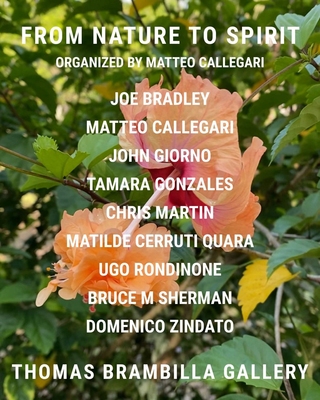 From Nature To Spirithttps://www.exibart.com/repository/media/formidable/11/img/f0c/flyer-mostra-1068x1335.jpg