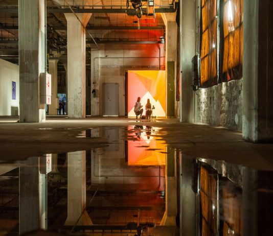 noks collective – Ongoing Call for Freedom