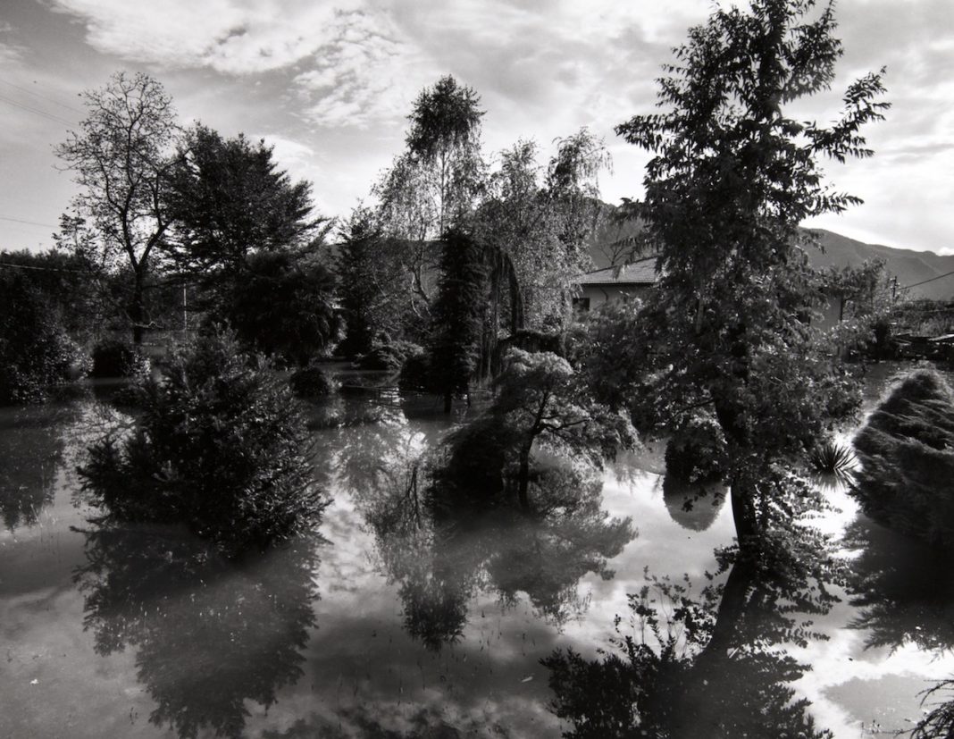 Fulvio Ventura – Naturehttps://www.exibart.com/repository/media/formidable/11/img/f29/Fulvio-1-Phusis-1-1068x827.jpeg