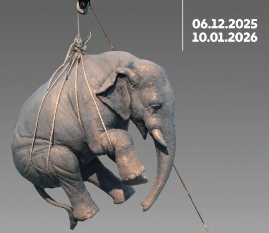 Stefano Bombardieri – Il Peso delle Emozioni Stefano Bombardieri – Il Peso delle Emozioni