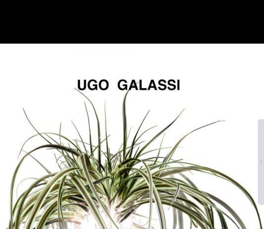 Ugo Galassi – Nudi di pianta