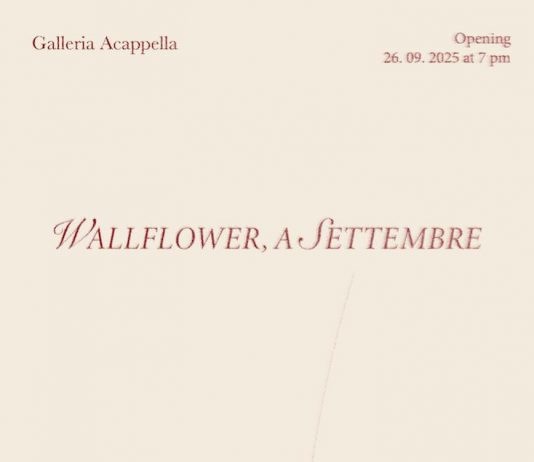 Merve Ceylan/Ole Goldt – Wallflower, a Settembre Merve Ceylan/Ole Goldt – Wallflower, a Settembre