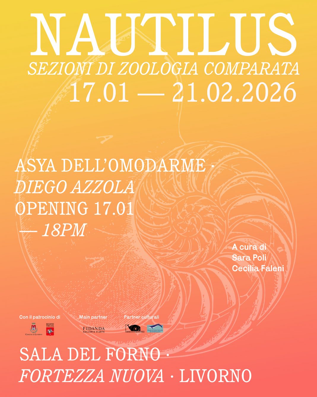 Asya Dell’Omodarme / Diego Azzola – Nautilus Sezioni di Zoologia Comparatahttps://www.exibart.com/repository/media/formidable/11/img/f56/NAUTILUS-copia-2-1068x1335.jpg