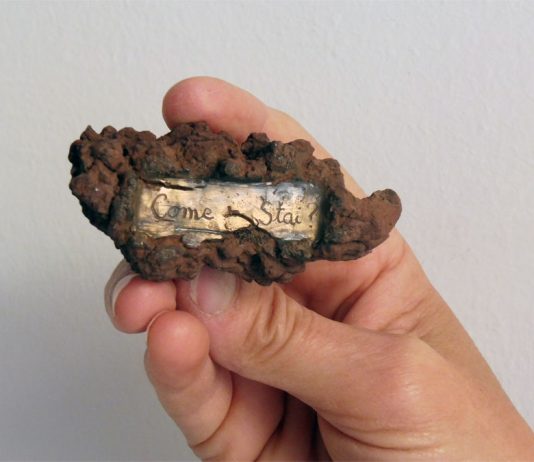L’opération de nature