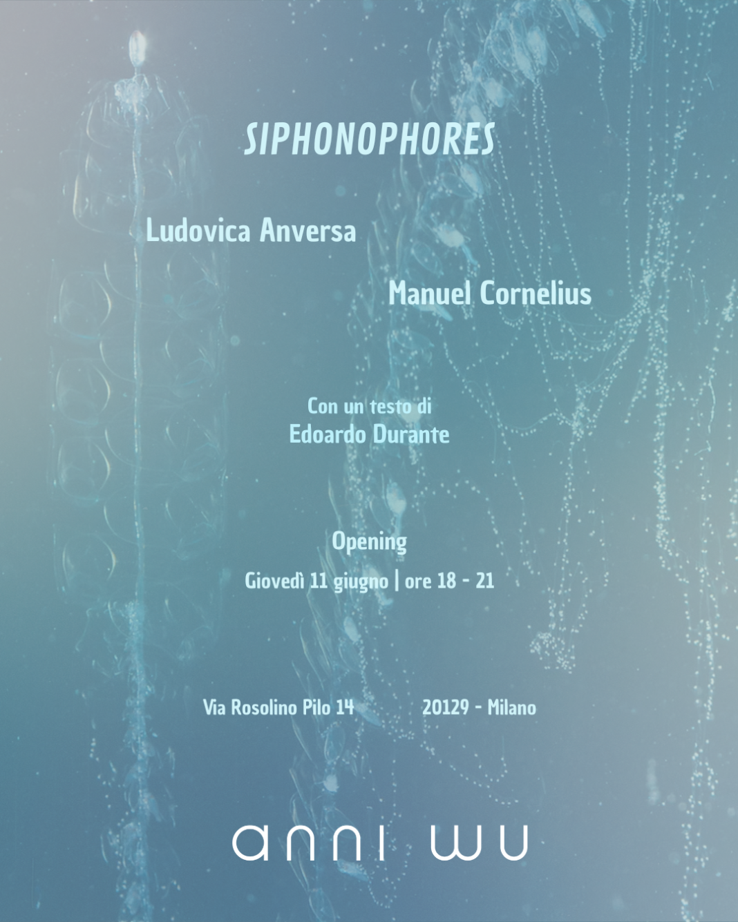 Siphonophoreshttps://www.exibart.com/repository/media/formidable/11/img/f6d/Siphonophores-Invite-1068x1335.png