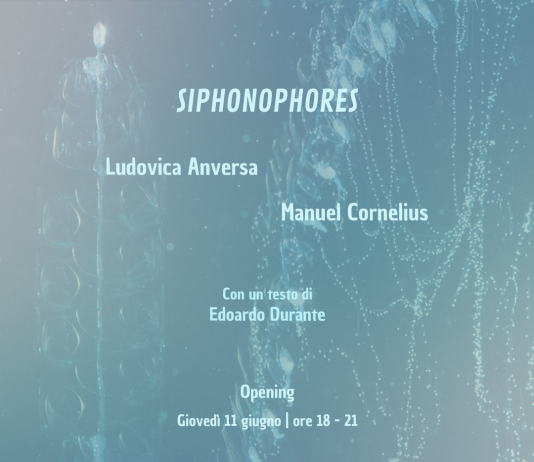 Siphonophores
