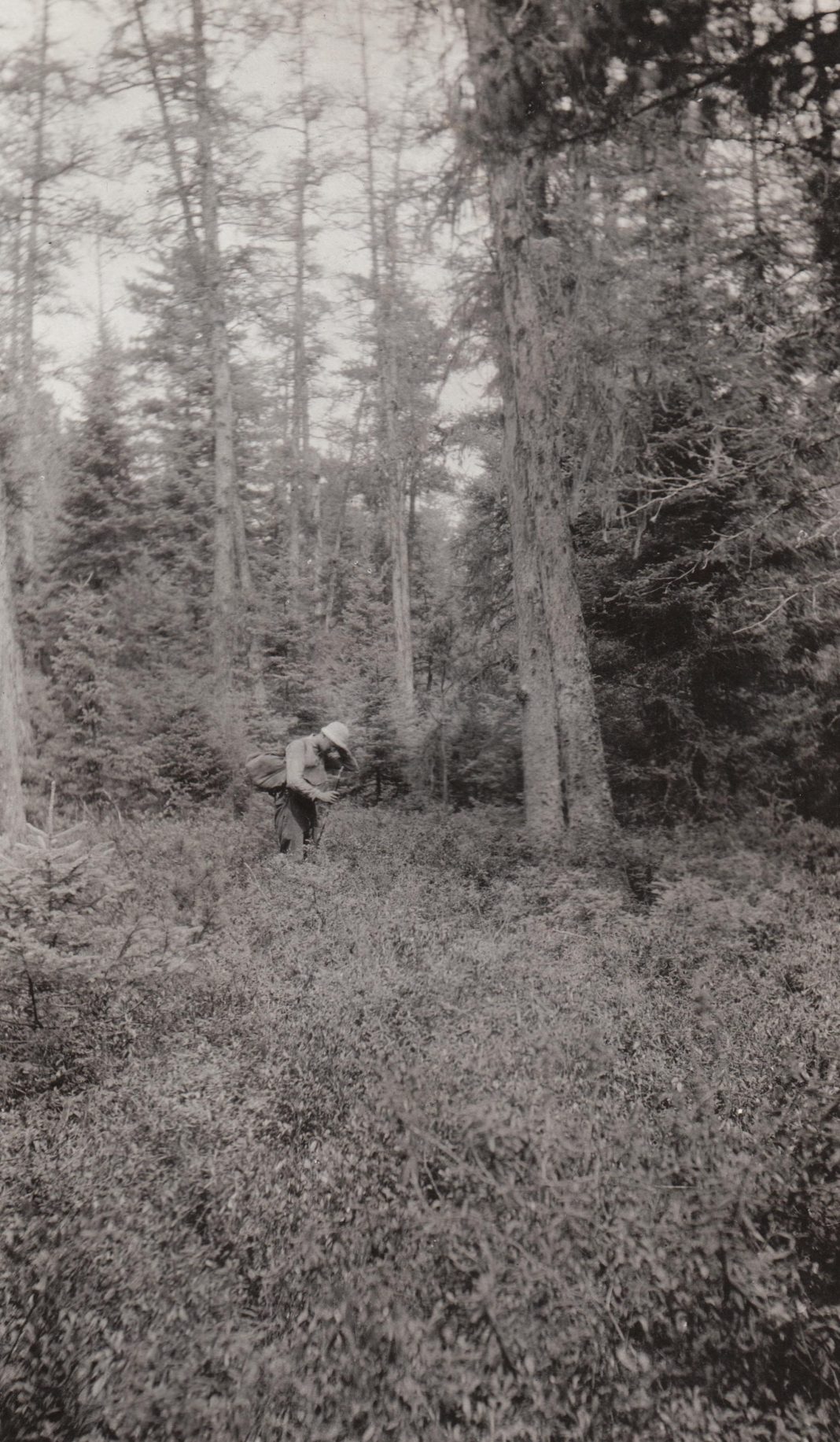 Chiara Brambilla / Roberto Picchi – Alzarsi prestohttps://www.exibart.com/repository/media/formidable/11/img/f7a/Group-show-Alzarsi-Presto-2025-RIBOT-1068x1833.jpg