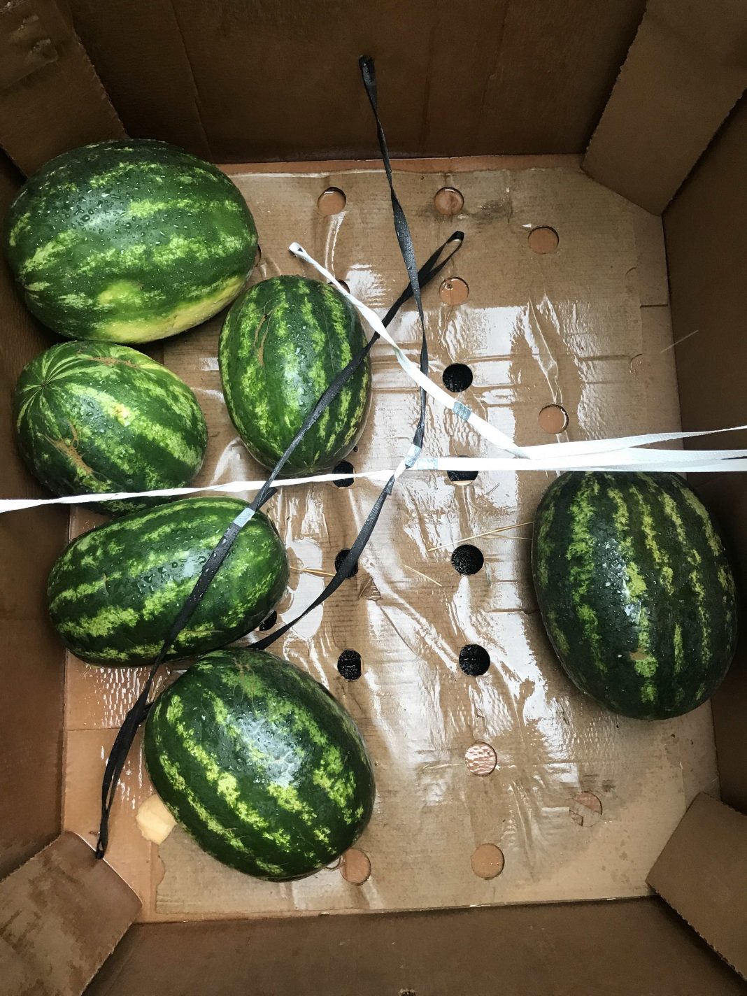 Ester Kläs – Fitting, whathttps://www.exibart.com/repository/media/formidable/11/img/f90/image_invitation_low-1068x1424.jpg