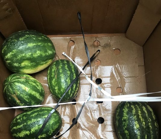 Ester Kläs – Fitting, what Ester Kläs – Fitting, what