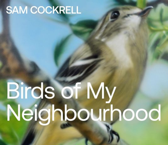 Birds of My Neighbourhood