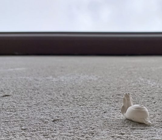 Non si torna indietro