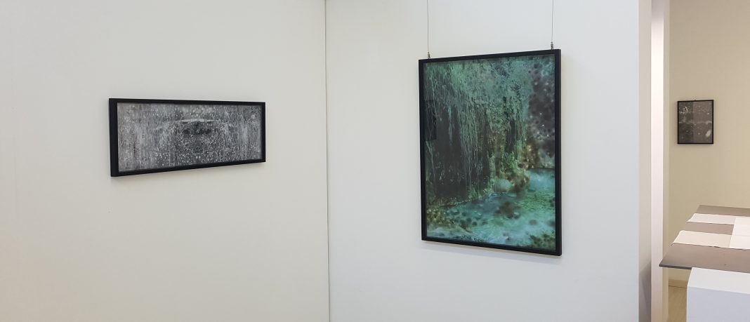 Dacia Manto – La natura intorno a noihttps://www.exibart.com/repository/media/formidable/11/img/fa7/La-natura-intorno-a-noi-1068x459.jpg