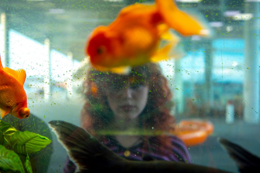 PREMIODAVIDE VIGNALI 2023https://www.exibart.com/repository/media/formidable/11/img/fa8/4IMG-PREMIO-DAVIDE-VIGNALI-1068x712.jpeg