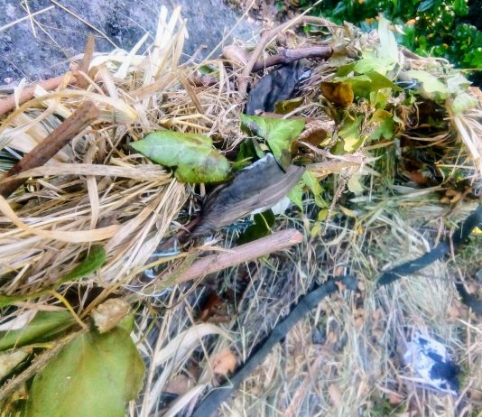 Alberta Piazza – Uno non solo non basta. (installazione precaria)