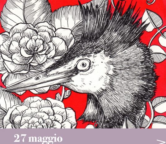 ANDREA TARELLA – LAKE FAUNA