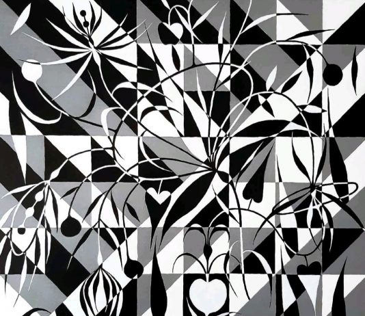 Mirko Celegato – Bicromatica