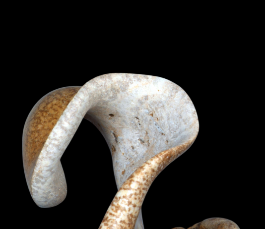 L’Evoluzione della forma