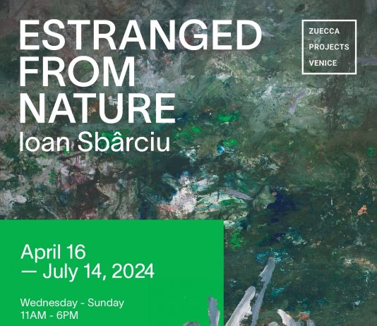 Ioan Sbârciu – Estranged from Nature