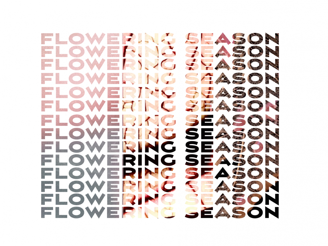 FLOWERING SEASONhttps://www.exibart.com/repository/media/formidable/11/img/fe6/FLOWERING-2-1068x801.png