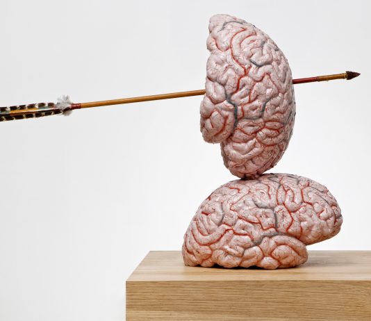 Jan Fabre – Brain thinking models and drawings