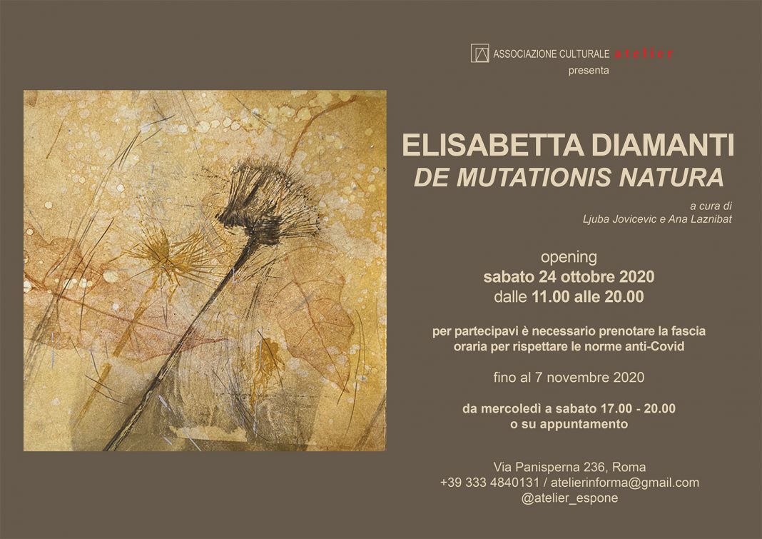 Elisabetta Diamanti – De mutationis naturahttps://www.exibart.com/repository/media/formidable/11/invito-diamanti-1068x755.jpg