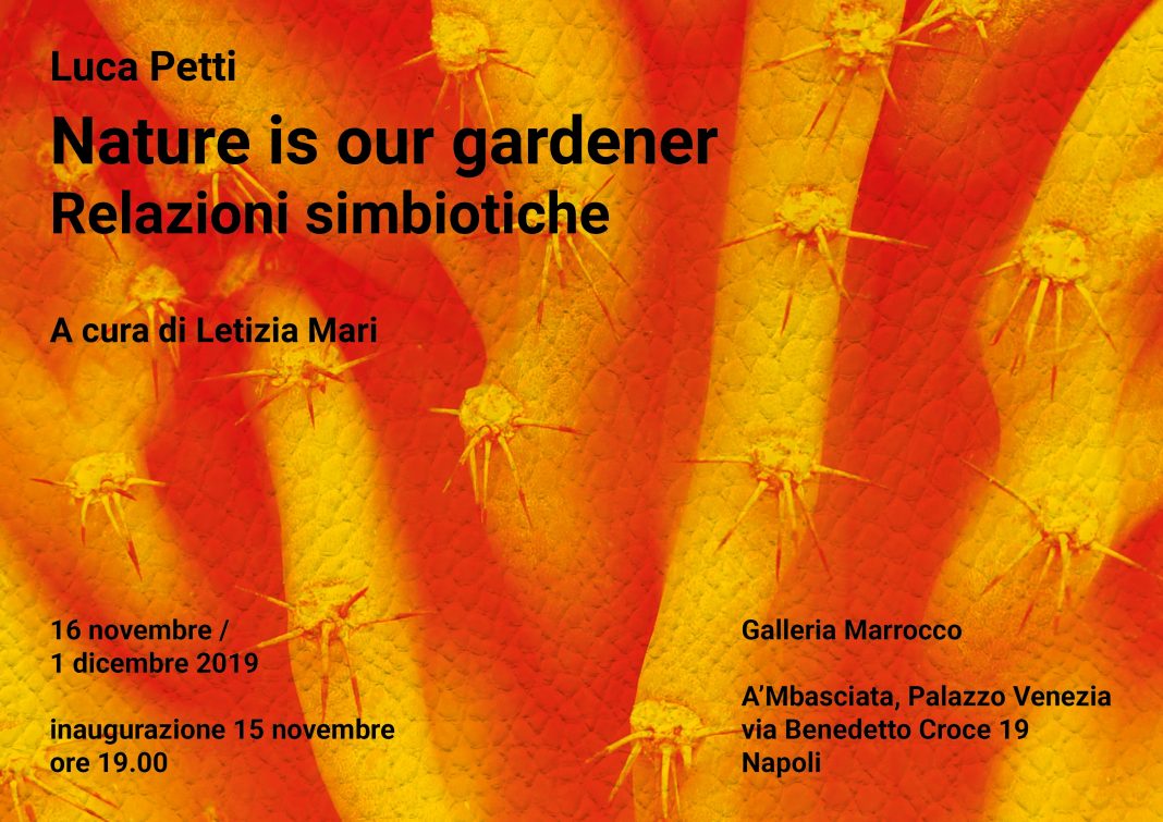 Luca Petti – Nature is our gardener. Relazioni simbiotichehttps://www.exibart.com/repository/media/formidable/11/invito-online_Nature-is-our-gadener-1068x755.jpg