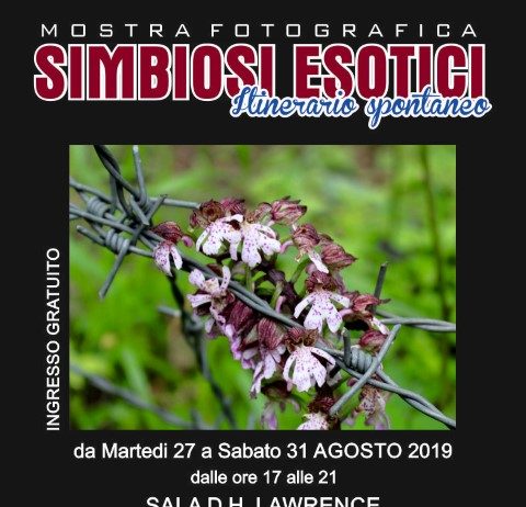 Jessika Pinget – Simbiosi esotici Jessika Pinget – Simbiosi esotici
