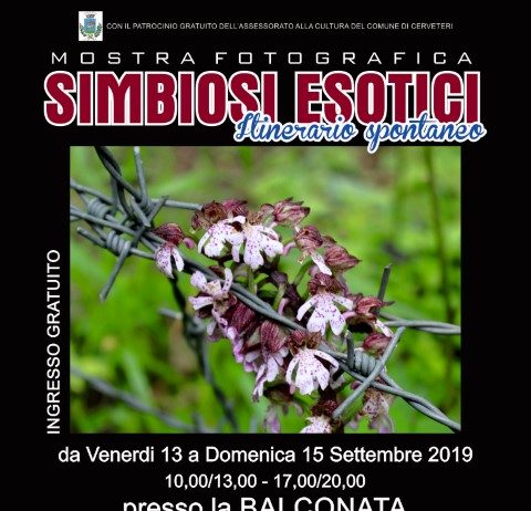 Jessika K. Pinget B. Jessika K. Pinget B.