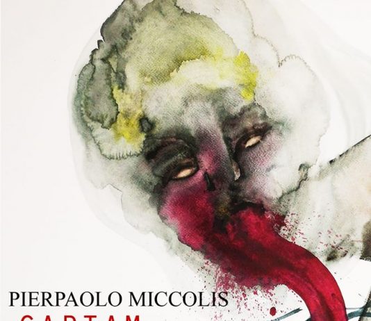 Pierpaolo Miccolis – Cartam