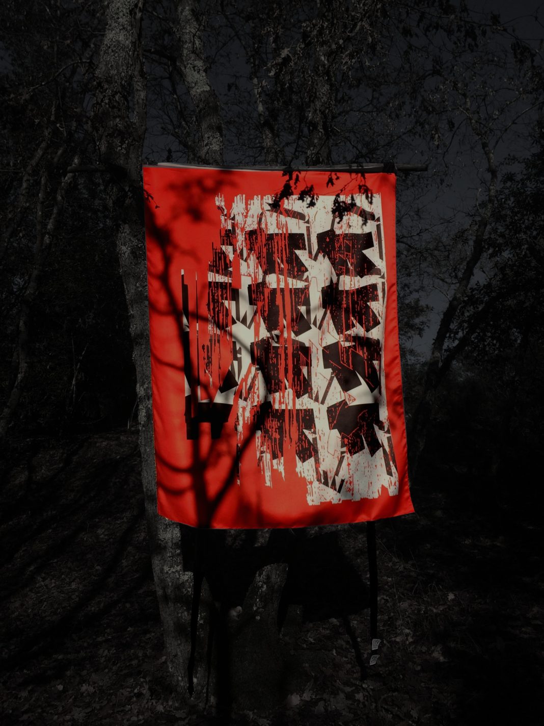 Misa Moss – Flags/Araxihttps://www.exibart.com/repository/media/formidable/11/opera-Misa-Moss-1068x1424.jpg