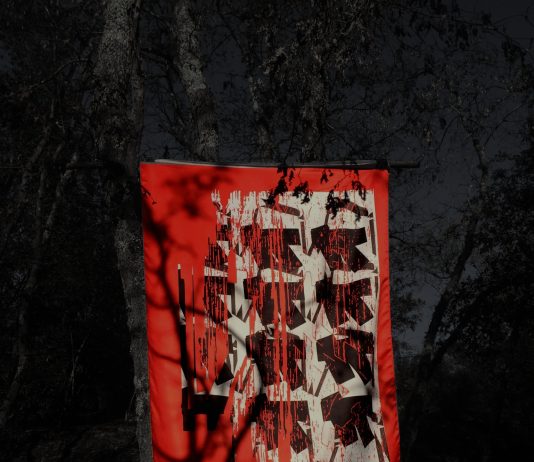 Misa Moss – Flags/Araxi