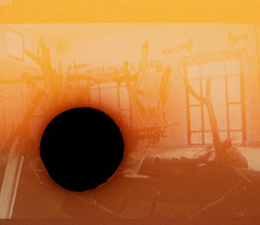 Lina Selander –  Diagrams of Transfer