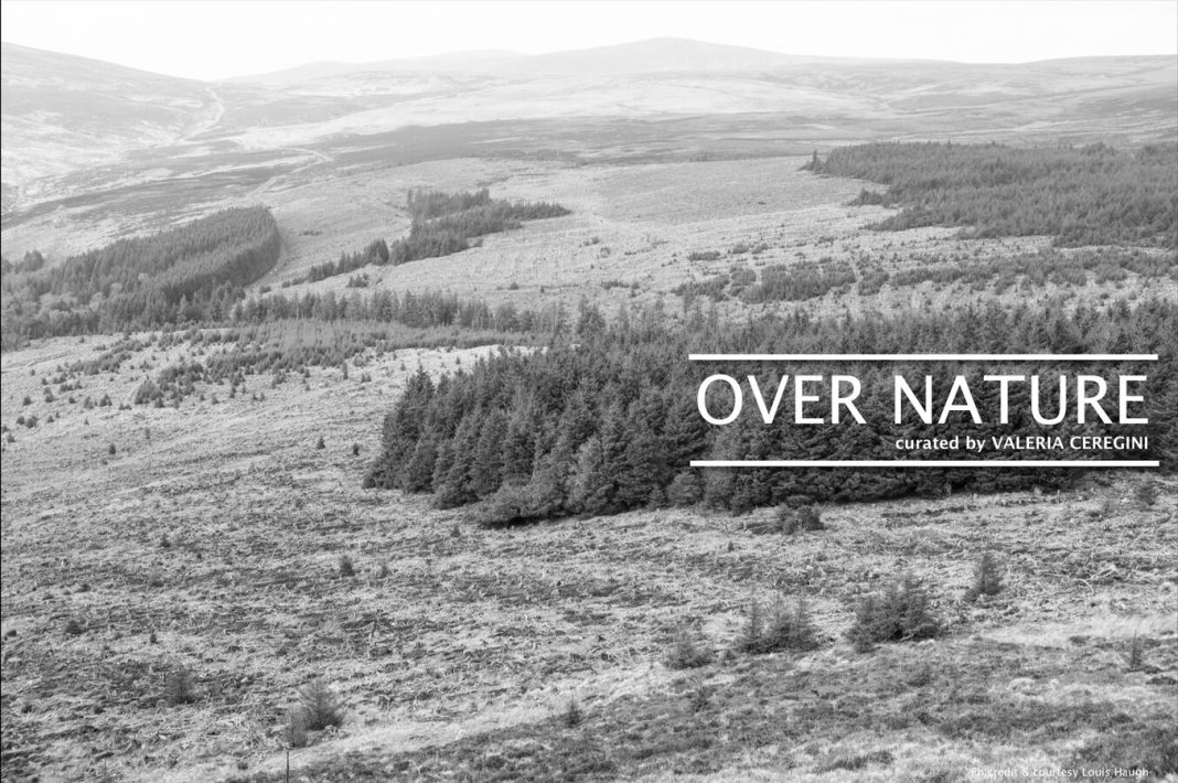 Over Nature Culture Nighthttps://www.exibart.com/repository/media/formidable/11/rsz_schermata_2019-10-15_alle_204602-1068x710.jpg