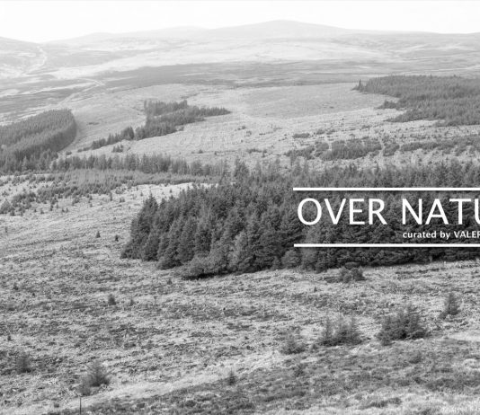 Over Nature Culture Night