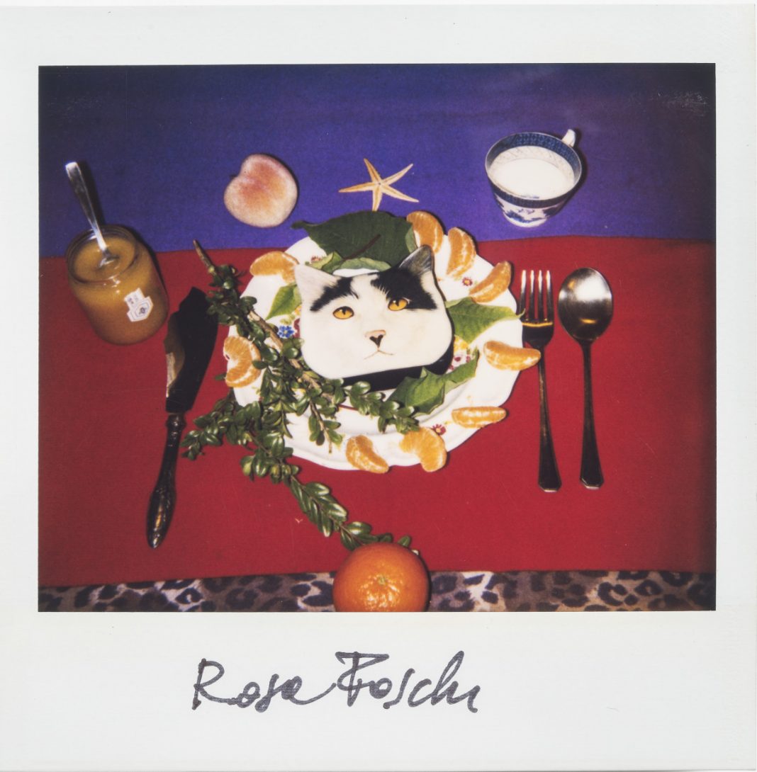 Rosa Foschi – Polaroid ROSA & film FOSCHIhttps://www.exibart.com/repository/media/formidable/11/savethedate-1068x1090.jpg