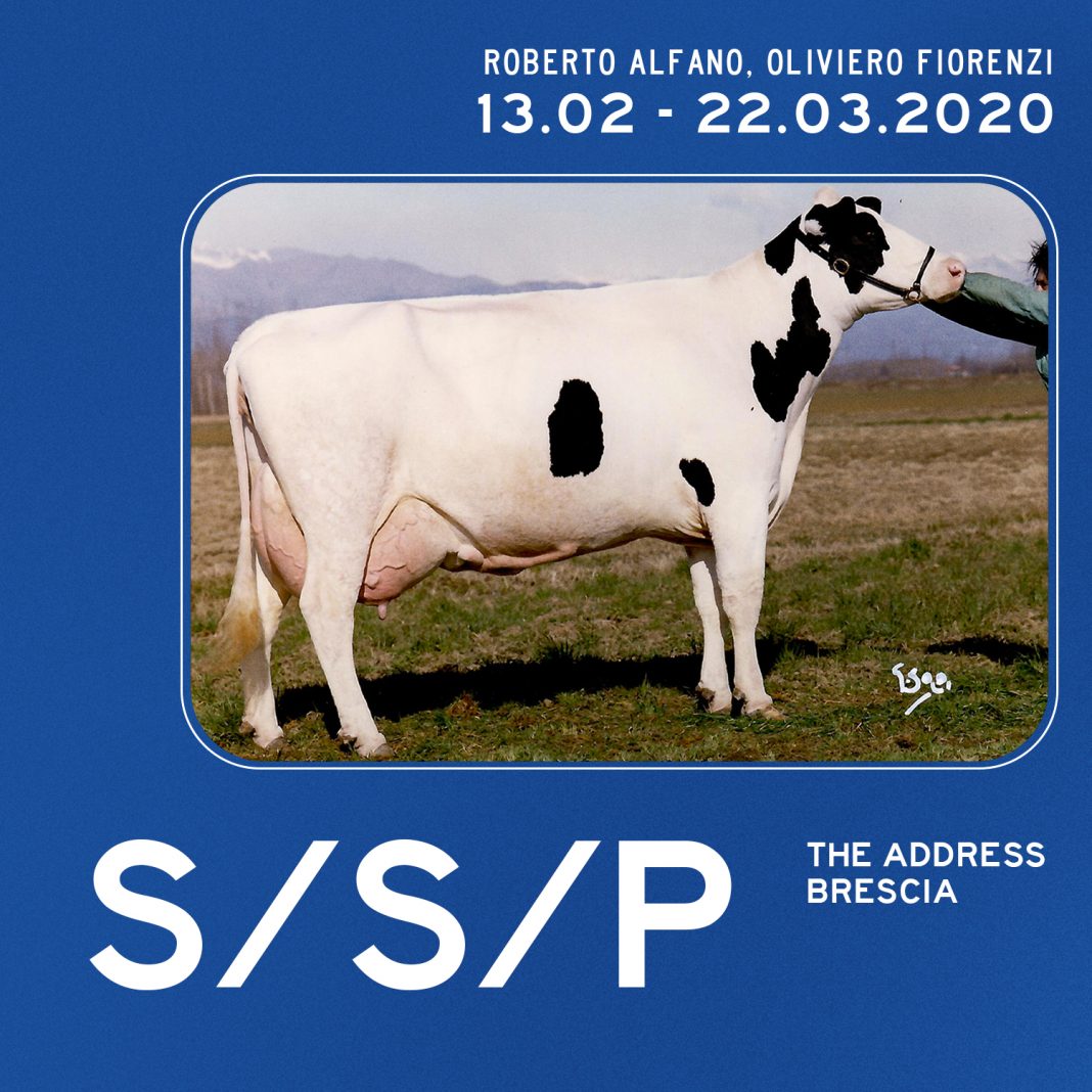 Roberto Alfano / Oliviero Fiorenzi – S/S/Phttps://www.exibart.com/repository/media/formidable/11/sponsorizzata_1-1068x1068.jpg