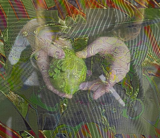 Amitai Romm – Macula Lutea