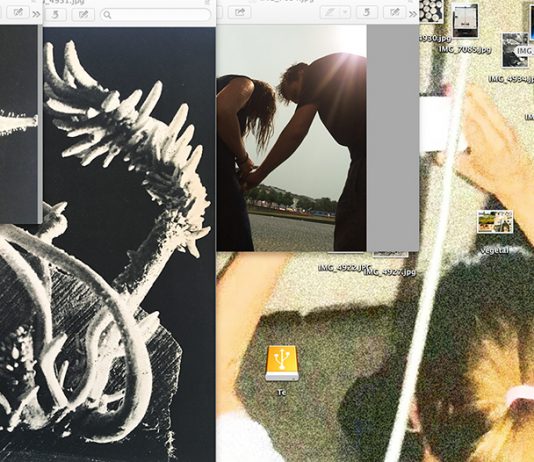 Casa Chiusa: Vegetal Import Festival (evento online)