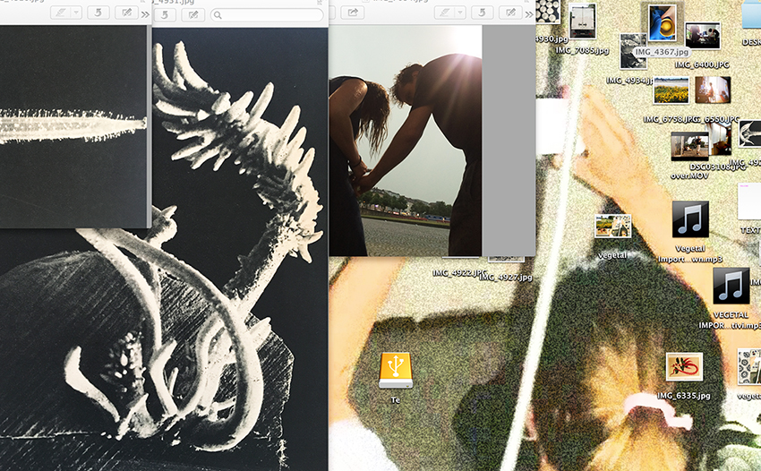 Casa Chiusa: Vegetal Import Festival (evento online)https://www.exibart.com/repository/media/formidable/11/vegetal-3.jpg