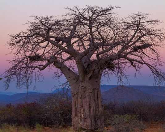 Luca Sciortino – Ritratto dell’anima del mondo. Saggio sulla realtà in parole e immagini