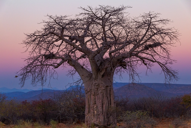 Luca Sciortino – Ritratto dell’anima del mondo. Saggio sulla realtà in parole e immaginihttps://www.exibart.com/repository/media/formidable/11/©Luca-Sciortino_La-carezza-del-tramonto_.jpg