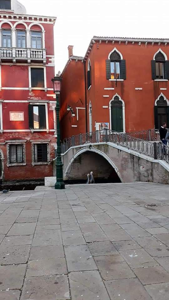 Palazzo Pisani Revedin