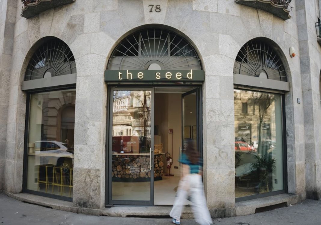 The Seed