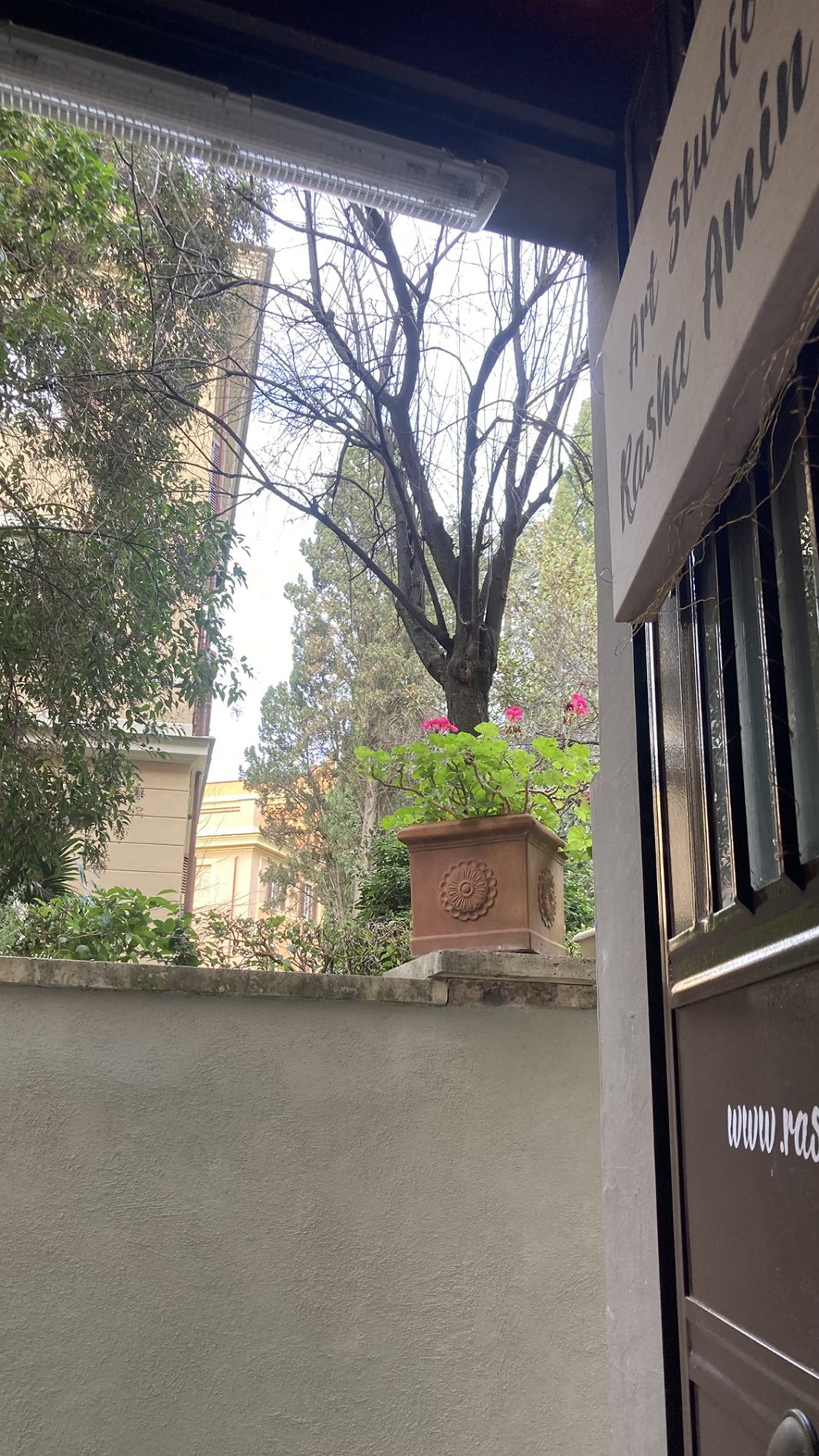 Art Studio Rasha Amin