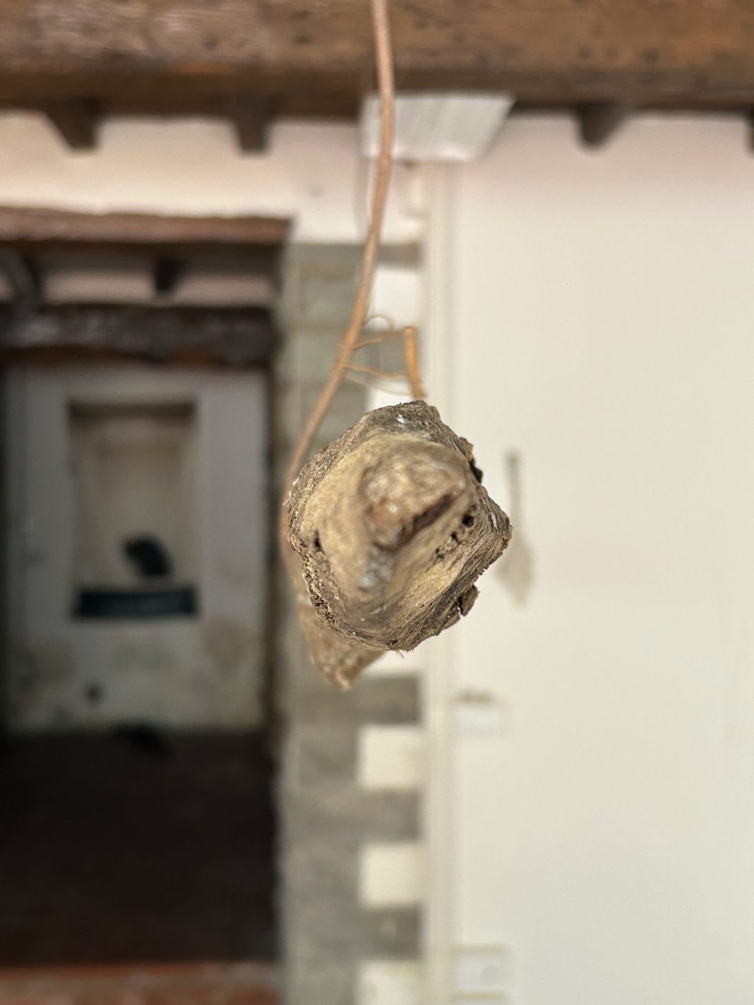 Studio Adriana Affortunati